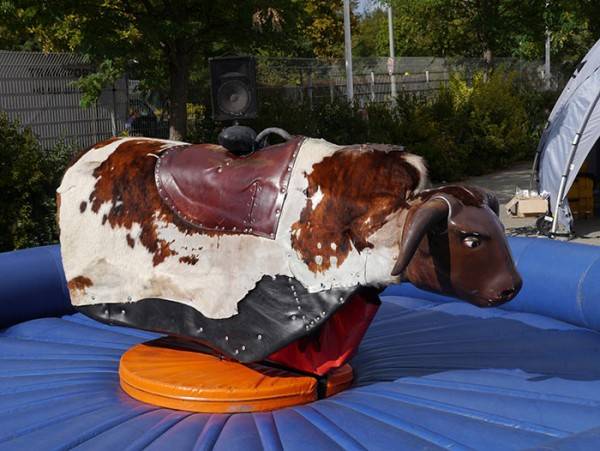 Bullriding blaues Kissen