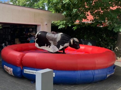 Bullriding (rote Umrandung)