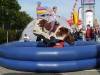 Bullriding blaues Kissen mieten