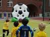 Kickball Torwand mieten