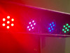 LED Scheinwerfer mieten berlin
